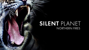 Silent Planet – Northern Fires