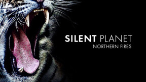 Silent Planet – Northern Fires Silent Planet – Northern Fires